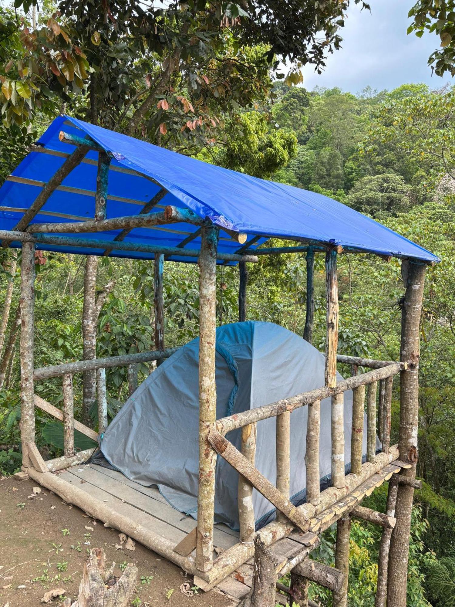 Hosanna Homestay ダージリン エクステリア 写真